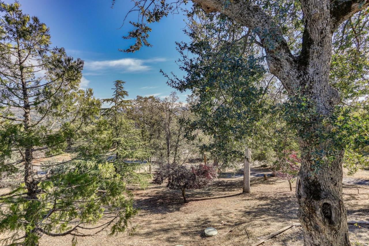 Cozy Studio With Well-Being Retreat Near Yosemite! Ahwahnee Eksteriør bilde