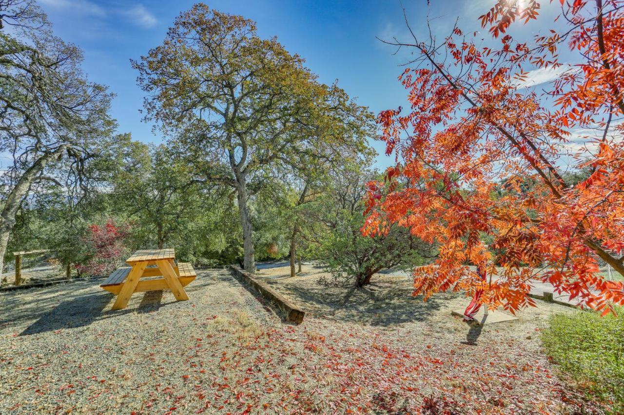 Cozy Studio With Well-Being Retreat Near Yosemite! Ahwahnee Eksteriør bilde